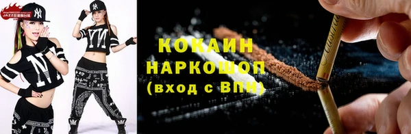 прущие грибы Верея
