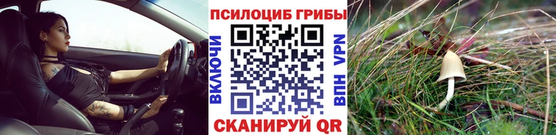 Галлюциногенные грибы Cubensis  omg   Юрюзань 